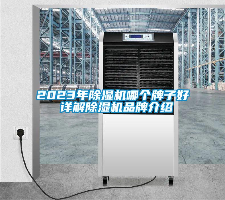 2023年除湿机哪个牌子好 详解除湿机品牌介绍