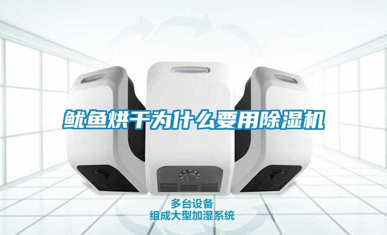 鱿鱼烘干为什么要用除湿机
