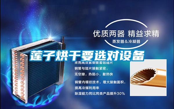 莲子烘干要选对设备