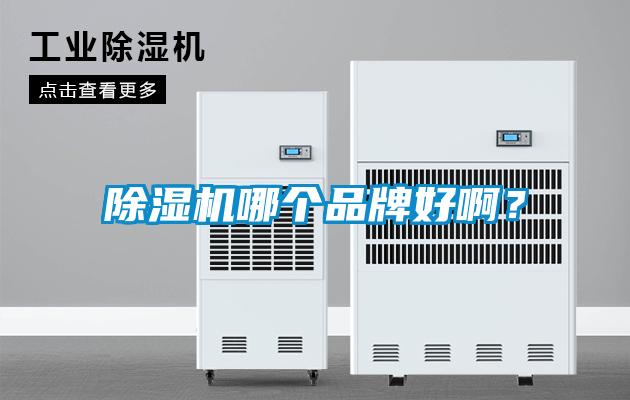 除湿机哪个品牌好啊？