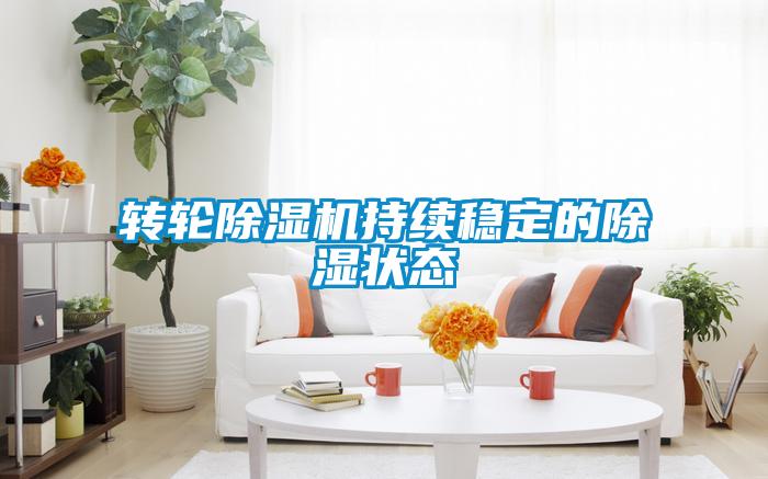转轮除湿机持续稳定的除湿状态