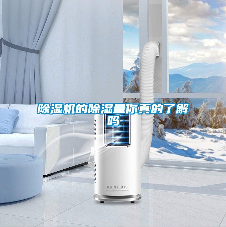 除湿机的除湿量你真的了解吗