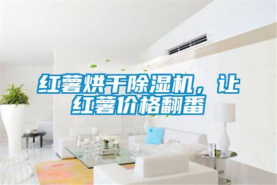 红薯烘干除湿机，让红薯价格翻番