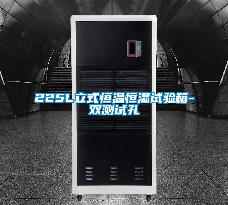 225L立式恒温恒湿试验箱-双测试孔