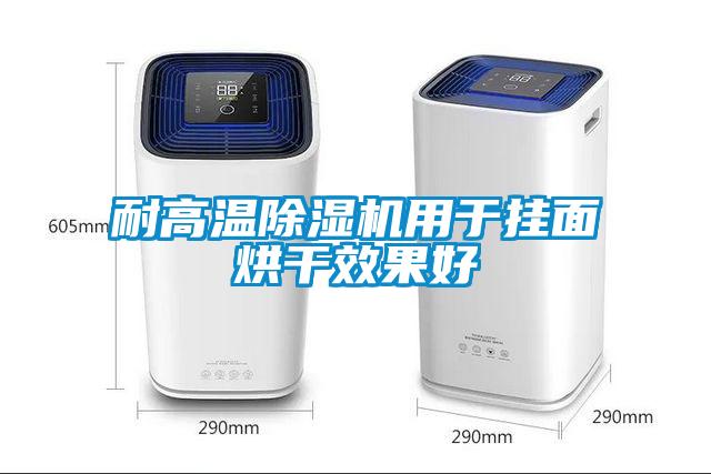 耐高温除湿机用于挂面烘干效果好