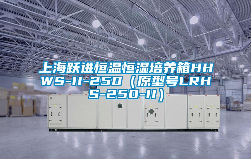 上海跃进恒温恒湿培养箱HHWS-II-250（原型号LRHS-250-II）