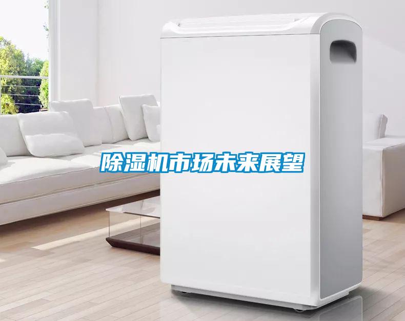 除湿机市场未来展望