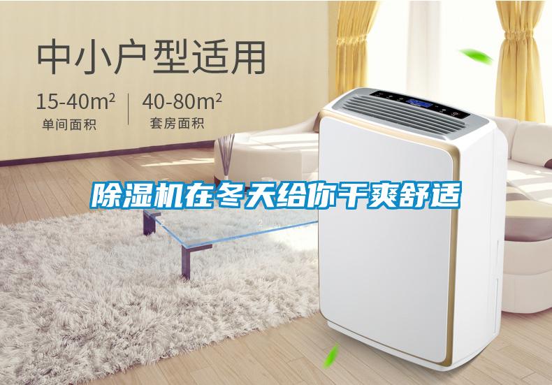 除湿机在冬天给你干爽舒适
