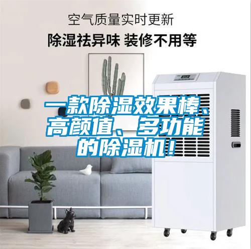 一款除湿效果棒、高颜值、多功能的除湿机！