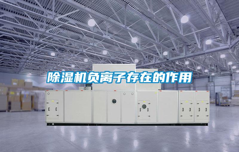 除湿机负离子存在的作用