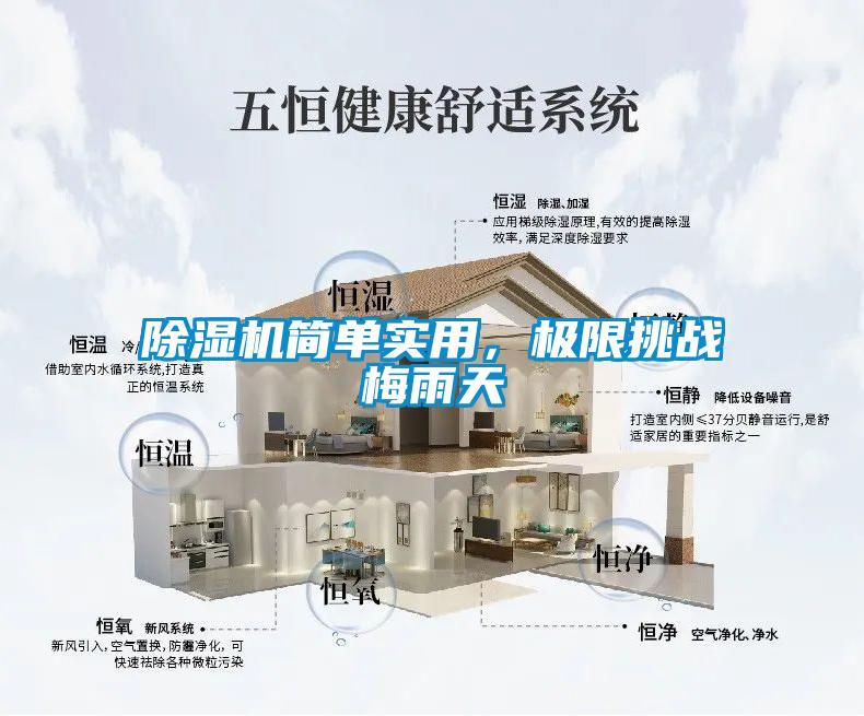 除湿机简单实用，极限挑战梅雨天