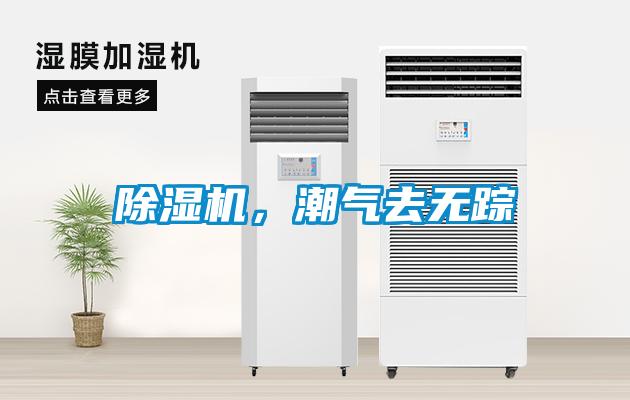 除湿机，潮气去无踪
