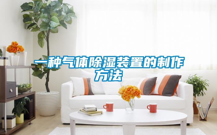 一种气体除湿装置的制作方法