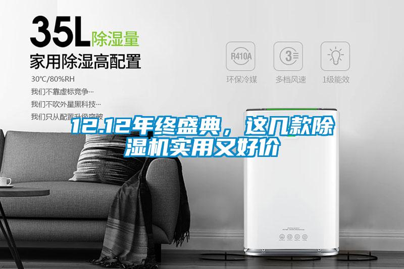12.12年终盛典，这几款除湿机实用又好价