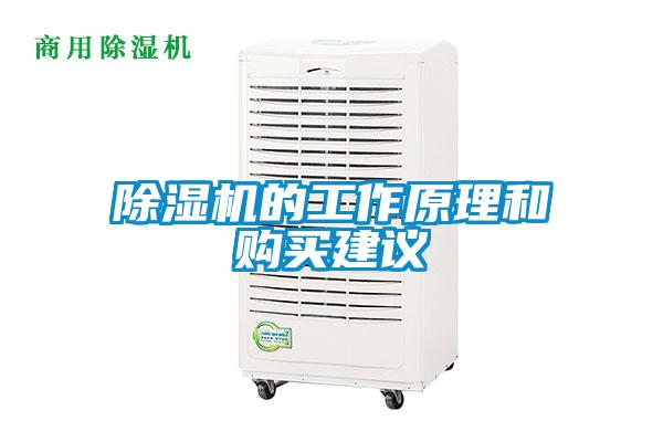 除湿机的工作原理和购买建议