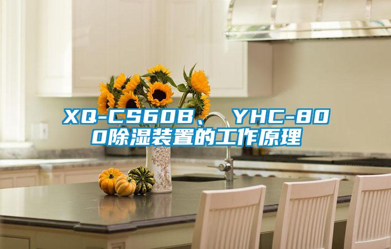 XQ-CS60B、 YHC-800除湿装置的工作原理