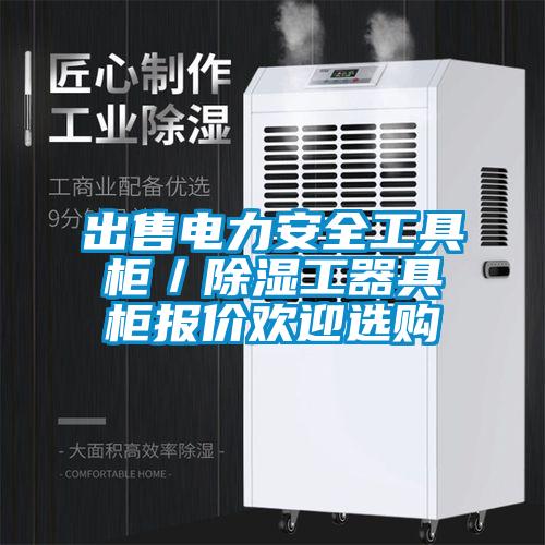 出售电力安全工具柜／除湿工器具柜报价欢迎选购