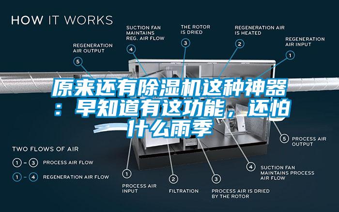 原来还有除湿机这种神器：早知道有这功能，还怕什么雨季