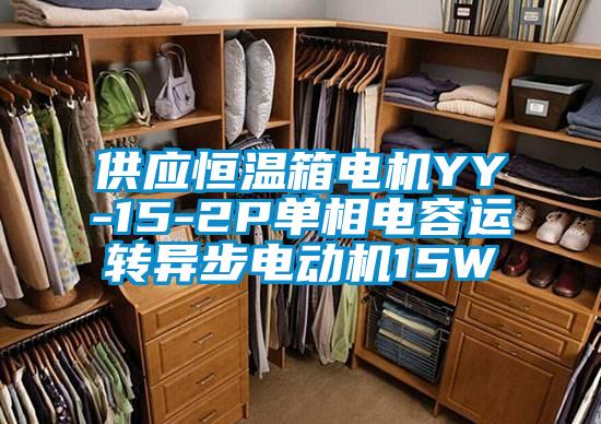 供应恒温箱电机YY-15-2P单相电容运转异步电动机15W