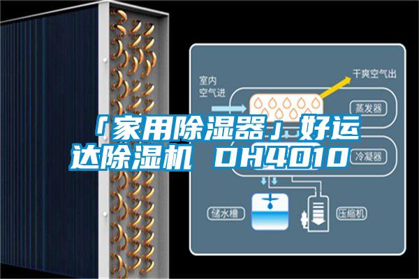 「家用除湿器」好运达除湿机 DH4010