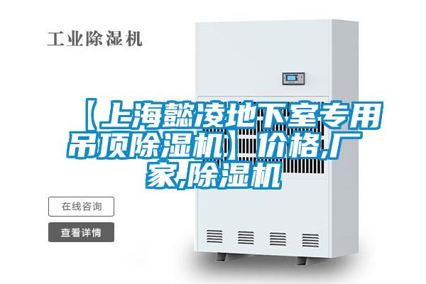 【上海懿凌地下室专用吊顶除湿机】价格,厂家,除湿机