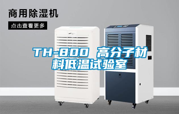 TH-800 高分子材料低温试验室