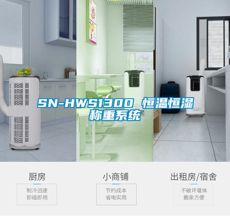 SN-HWS1300 恒温恒湿称重系统