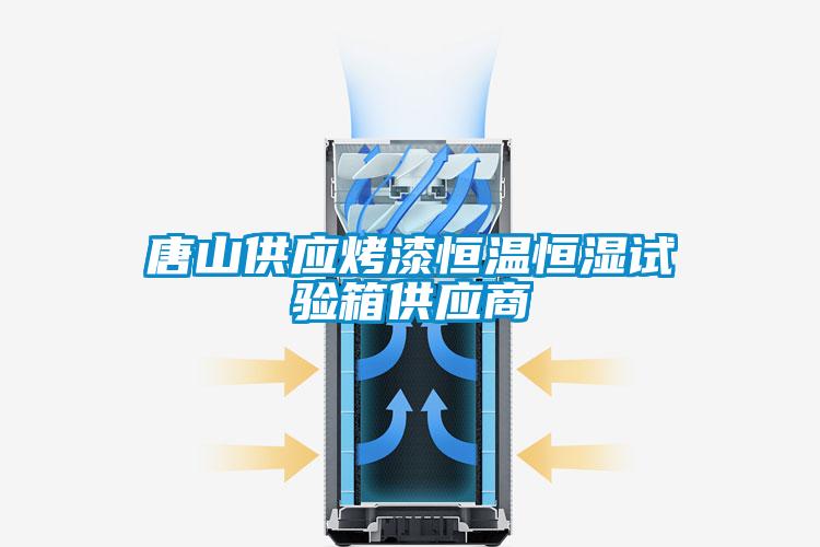 唐山供应烤漆恒温恒湿试验箱供应商