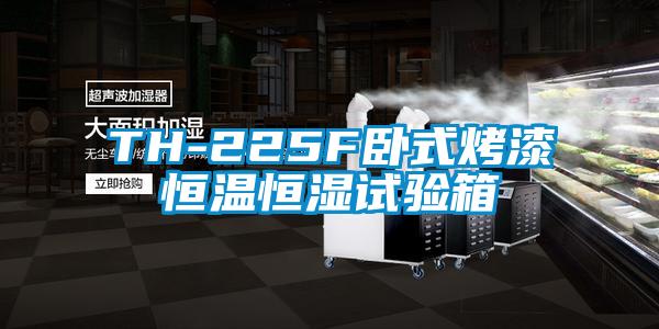 TH-225F卧式烤漆恒温恒湿试验箱