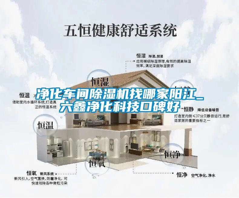 净化车间除湿机找哪家阳江_六鑫净化科技口碑好