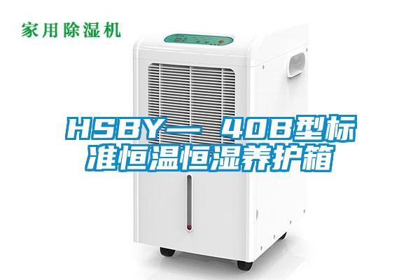 HSBY— 40B型标准恒温恒湿养护箱