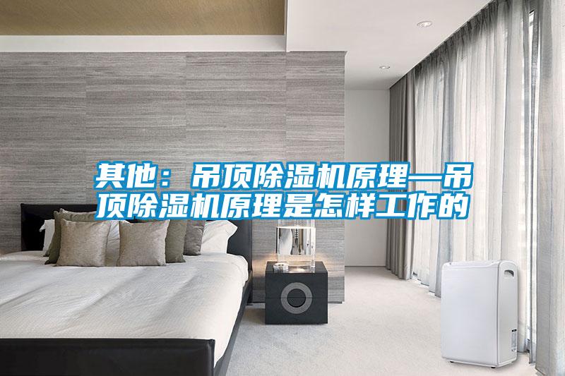 其他：吊顶除湿机原理—吊顶除湿机原理是怎样工作的