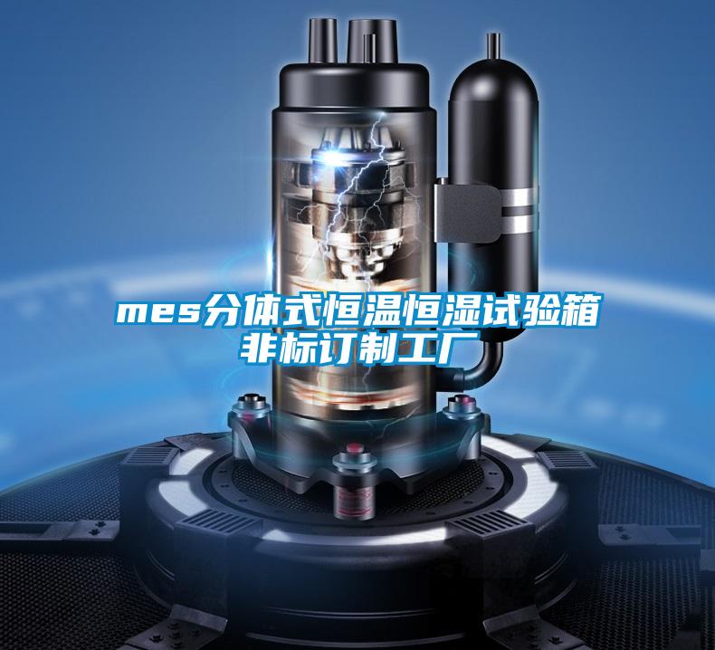 mes分体式恒温恒湿试验箱非标订制工厂