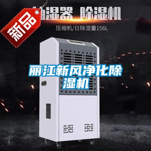 丽江新风净化除湿机