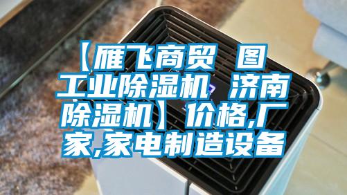 【雁飞商贸 图  工业除湿机 济南除湿机】价格,厂家,家电制造设备