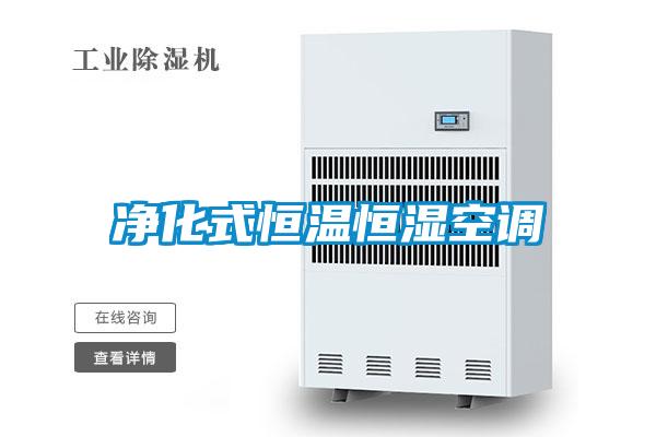 净化式恒温恒湿空调
