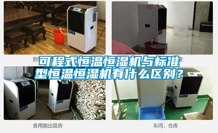 可程式恒温恒湿机与标准型恒温恒湿机有什么区别？