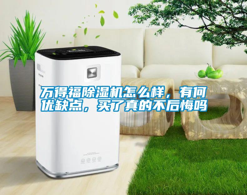 万得福除湿机怎么样，有何优缺点，买了真的不后悔吗