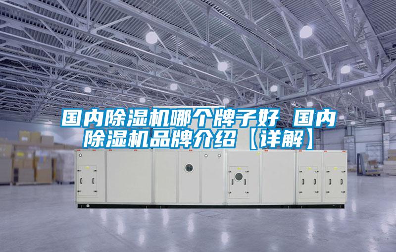 国内除湿机哪个牌子好 国内除湿机品牌介绍【详解】