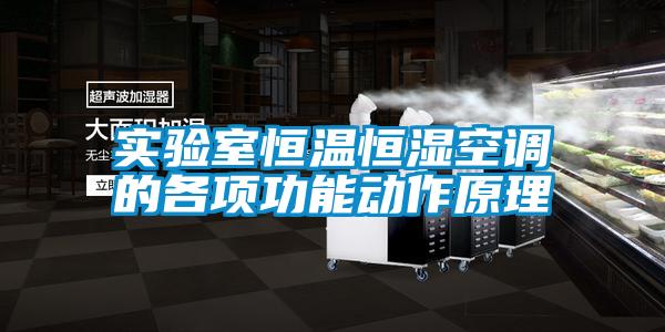 实验室恒温恒湿空调的各项功能动作原理