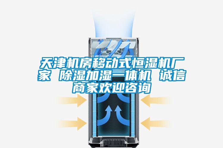 天津机房移动式恒湿机厂家 除湿加湿一体机 诚信商家欢迎咨询