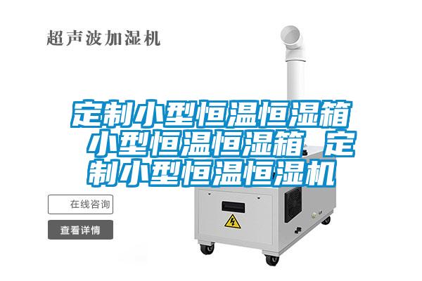 定制小型恒温恒湿箱 小型恒温恒湿箱 定制小型恒温恒湿机