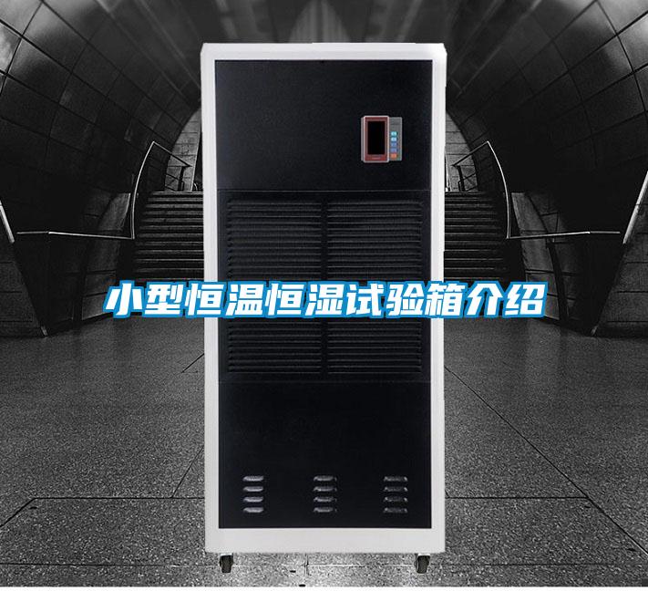 小型恒温恒湿试验箱介绍