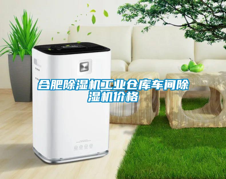合肥除湿机工业仓库车间除湿机价格