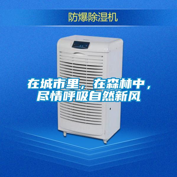 在城市里，在森林中，尽情呼吸自然新风