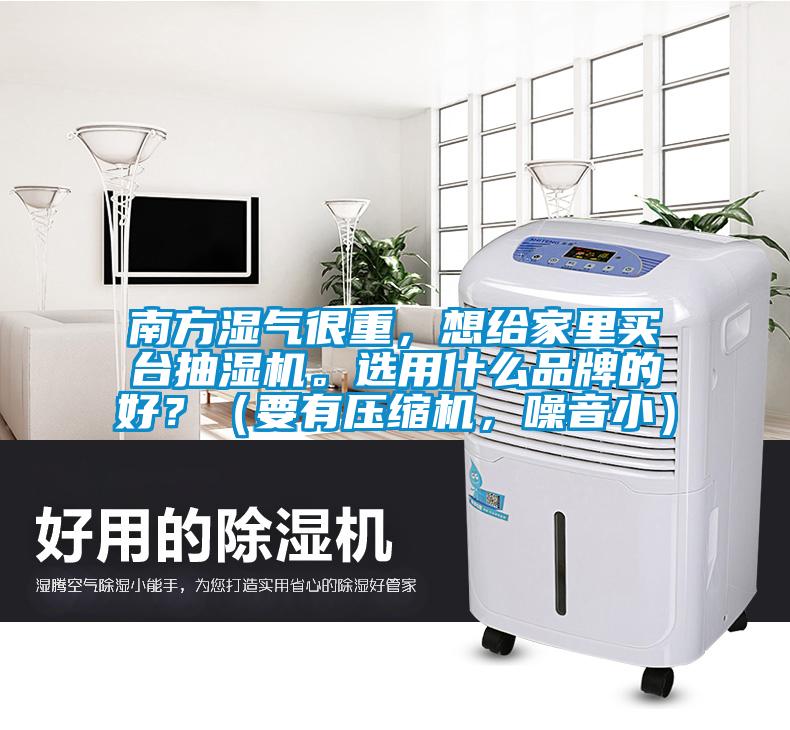 南方湿气很重，想给家里买台抽湿机。选用什么品牌的好？（要有压缩机，噪音小）