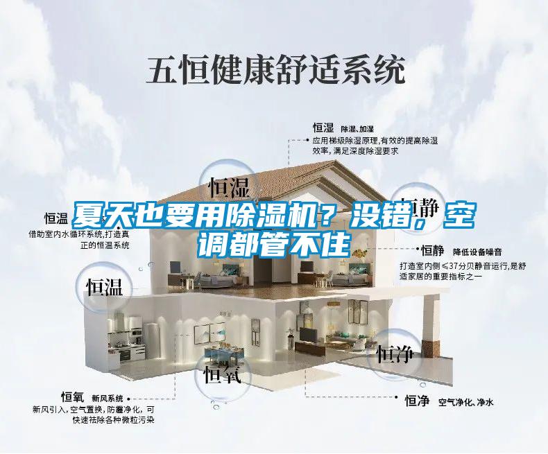 夏天也要用除湿机？没错，空调都管不住