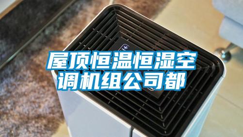 屋顶恒温恒湿空调机组公司都