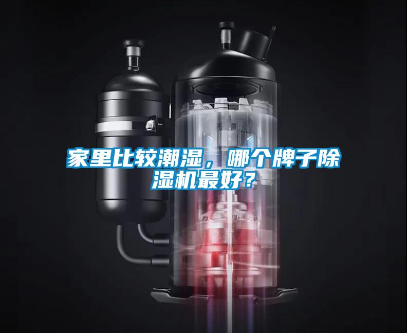 家里比较潮湿，哪个牌子除湿机最好？
