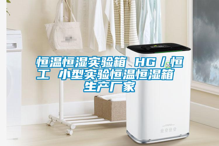 恒温恒湿实验箱 HG／恒工 小型实验恒温恒湿箱 生产厂家
